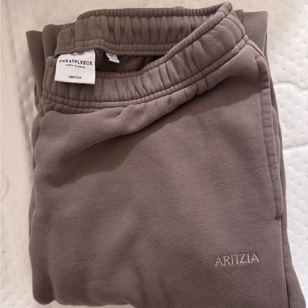 Aritzia Cozy Sweatfleece Mega Cargo Sweatpant in Medium - Picture 2 of 4